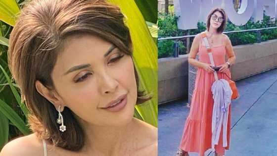 Pops Fernandez, young-looking sa kanyang bagong picture