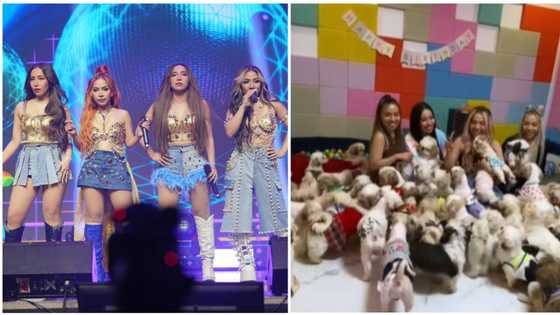 GoFundMe post ng 4th Impact para sa mga aso nila, burado na