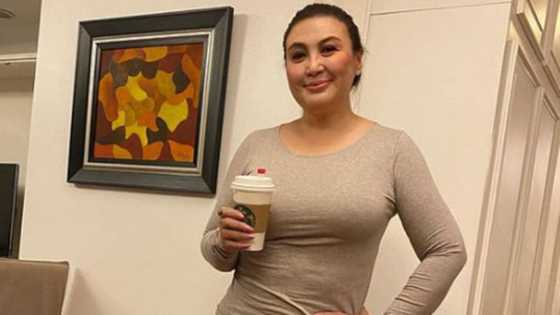 Sharon Cuneta flaunts her trim figure in a fitted top and netizens are loving it