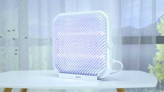 Best electric insect killers you should buy to combat dengue season
