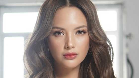 Ellen Adarna, nag-post ng panibagong resibo umano: "I was 6 months pregnant here"
