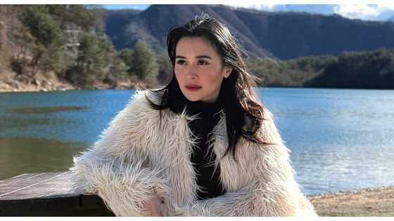 Kris Bernal reacts to DENR probe into controversial hillside project in Cebu