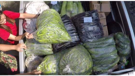 Ilang Sariaya farmers, personal na nagbahagi ng gulay sa community pantry sa QC