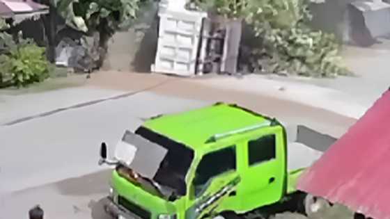 Trahedya sa Zamboanga: Dump truck, sumalpok sa puno; driver at pahinante, patay