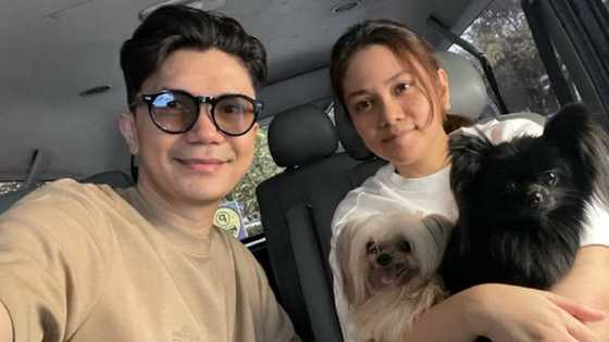 Vhong Navarro, hindi raw tinatantanan ng kampo ni Deniece Cornejo, ayon kay Cristy Fermin