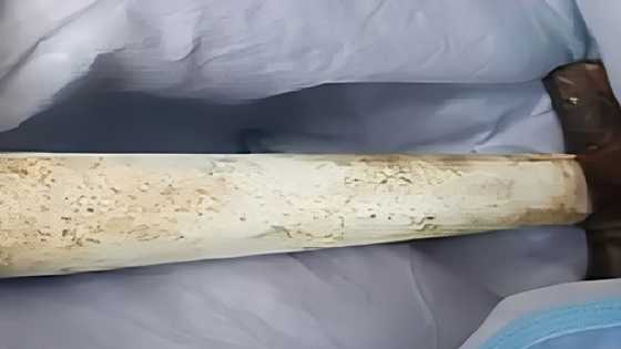 24-year-old hammered to death by ex-BF; victim allegedly splits with suspect on anniversary