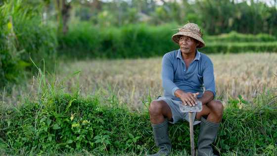 My Daughter Pretended Her Poor Father Was Dead — Her Husband’s Empire Fell and She Returned to Me