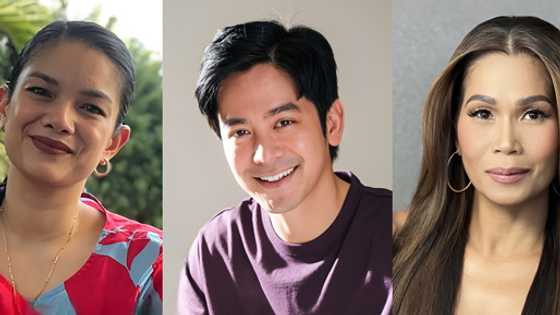 Pokwang at Meryll Soriano, ipinagtanggol si Joshua Garcia laban sa mga bashers
