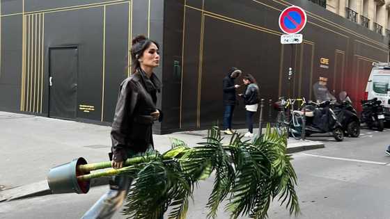 Heart Evangelista, walang karte-arteng nagbitbit ng halaman sa Paris
