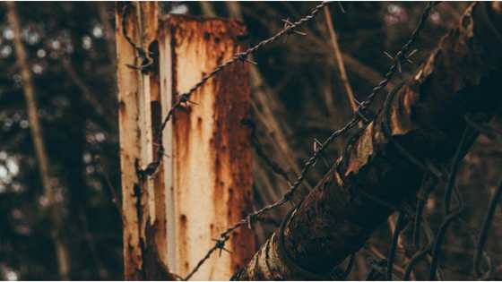 9-anyos na batang umano'y maglalaro lang sana, patay matapos umakyat sa bakod na may live wire