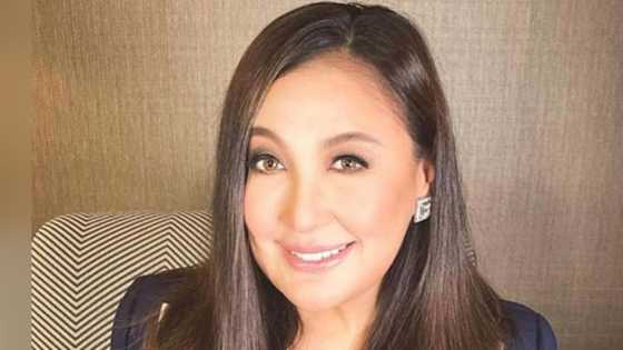 Sharon Cuneta, Tito Sotto, iniiwasang magkasakitan pagdating sa usaping politika