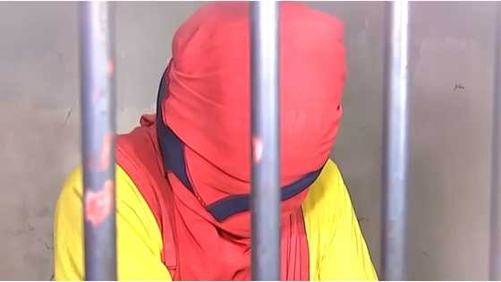 Man arrested for beating up live-in partner because of P100