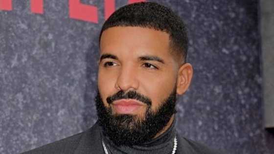 The incredible bio of Drake that you will love to read