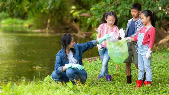 The neighbor’s kids cleaned every Sunday — What I discovered left me stunned