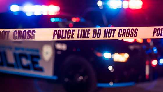 Brothers arrested for murder of Japanese nationals in Manila; Police allege Japan "boss" hired them