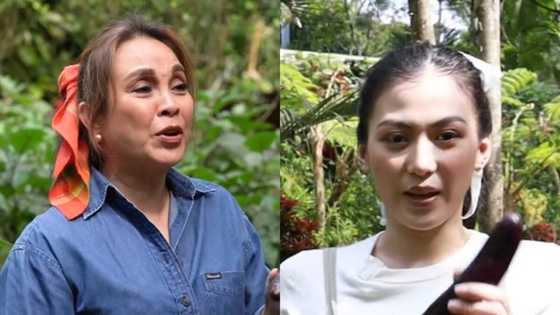 Alex Gonzaga, sinita ni Loren Legarda dahil sa "talong" joke nito sa video