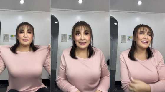 Sharon Cuneta, babalik sa pagdi-dyeta, nadadagdagan kasi ng "10 pounds" kapag nasa screen