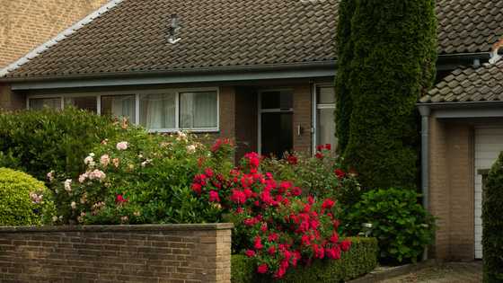 My neighbors installed a camera aimed at my garden – I taught them a lesson without going to court