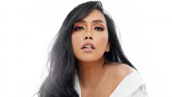 Kakai Bautista, kinuwestiyon ang mga kontra-Pax Silica pero panay ang AI posts