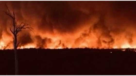 Larawan ng nakakakilabot na "mukha" sa sunog sa Australia, kalat sa socmed