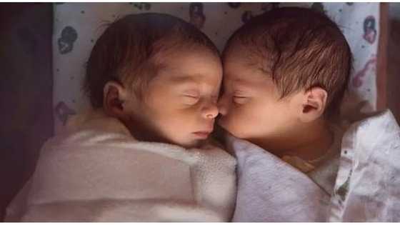 I adopted twins I found abandoned on a plane –Their mom showed up years later & gave them a document