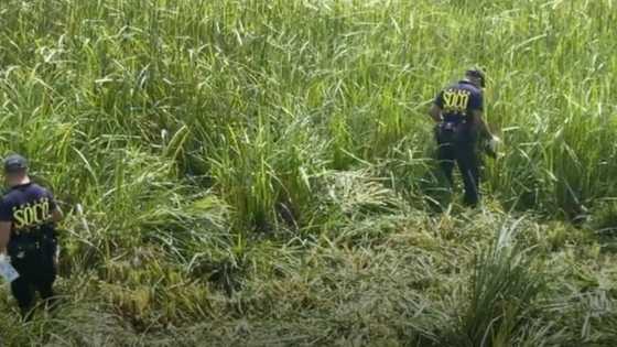 Law firm clarifies John Mollenido was not arrested in double murder probe