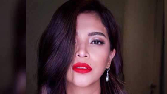 Angel Locsin takes a swipe at red-tagging of sister Ella by Gen. Parlade