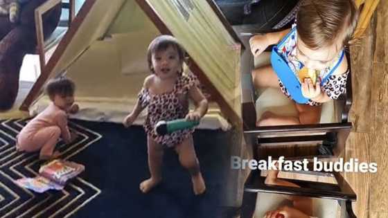 Videos of baby Dahlia's cute bonding moments with baby Thylane in Boracay goes viral