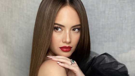 Ellen Adarna shares new details on why Derek Ramsay missed Liana's birthday