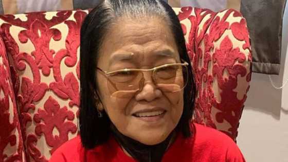 Lolit Solis, nag-aalala sino mag-aalaga sa mga aso niya pag nawala na siya: “Hindi alam saan pupunta”