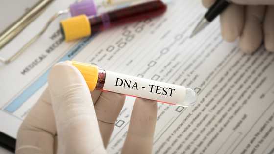 My mother-in-law secretly DNA-tested my son — Then a buried secret resurfaced