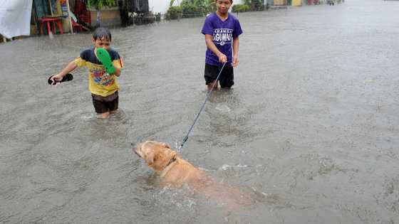 A teenager jumped into a river to save a dog – The next morning, a black SUV pulled up to his house