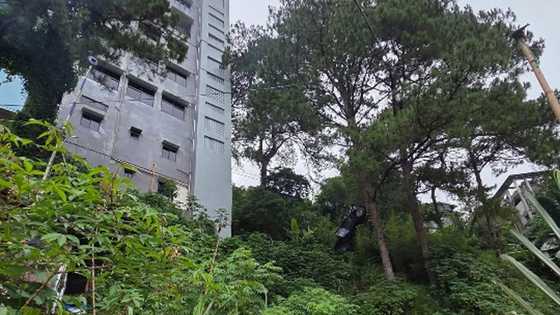 Car driven by 23-year-old student falls off 30-foot cliff in Baguio