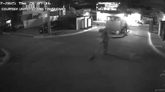 Aso na pumasok sa isang subdivision, patay pagkatapos paluin umano so ulo ng gwardya