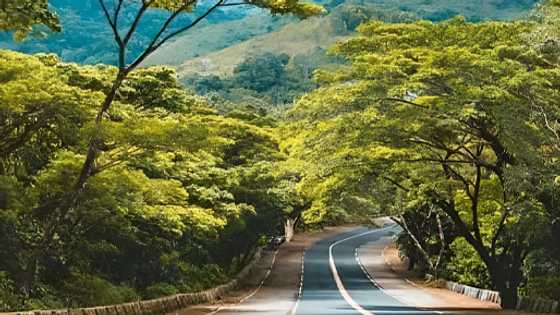 Putol-putol na parte ng katawan, natagpuang nakasilid sa plastic sa Marilaque Highway