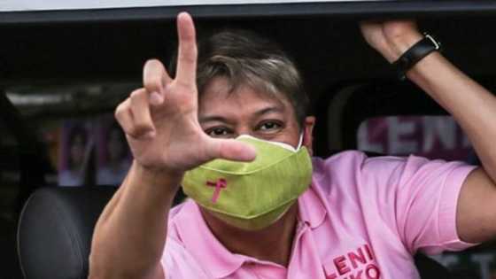 Sen. Kiko Pangilinan, nawindang sa kulay ng nahulog na niyog: “Pati pala puno ng niyog ay katropa”