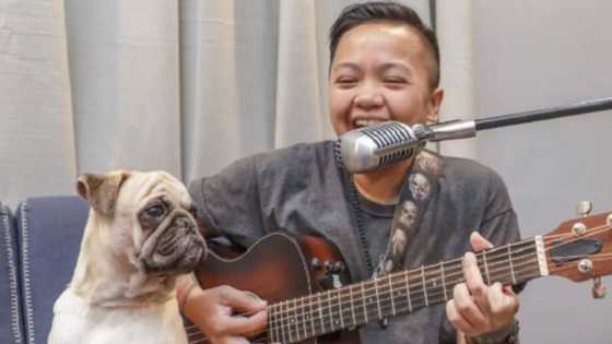 Ice Seguerra, durog na durog ang puso matapos ma-hit-and-run, pumanaw ang aso niyang si Choppy
