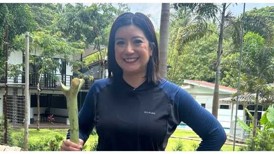 Kara David’s cryptic reminder goes viral: “You are not the story”