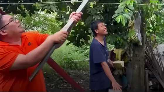 Coconut falls on man's head while recording a video content