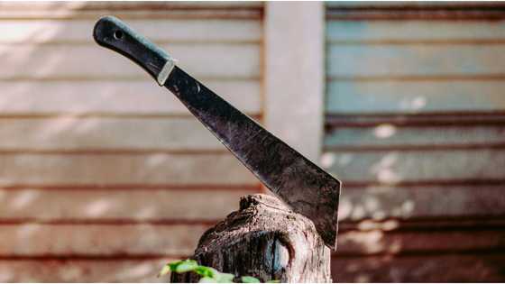 Lalaking naghanap ng sukli matapos magpabili ng alak at pulutan, pinagtulungang tagain ng 4 na tao