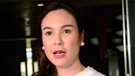 Gretchen Barretto's lawyer releases statement on allegations against actress