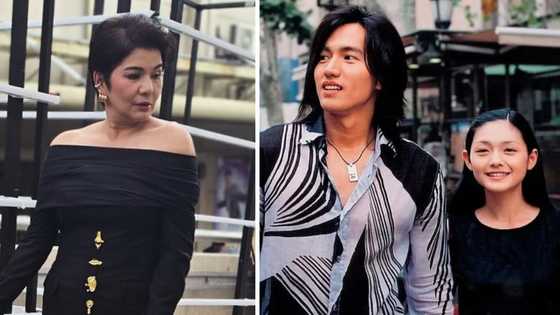 Amy Perez, binalikan ang interview niya noon kay Jerry Yan o Dao Ming Si ng ‘Meteor Garden’