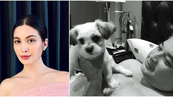 Ara Davao mourns death of her pet dog: “Papa has a new playmate in heaven”