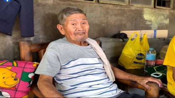 Lolo Nardo, inilahad bakit nagbenta ng 10-kilong mangga: "Ipambibili ng pagkain"