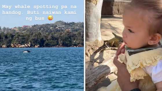 Angelica Panganiban, nagpasalamat na naiwan ng bus: "May whale spotting pa na handog"