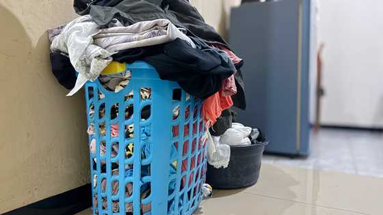 My husband bet he could run our home — One week later, I barely recognized it