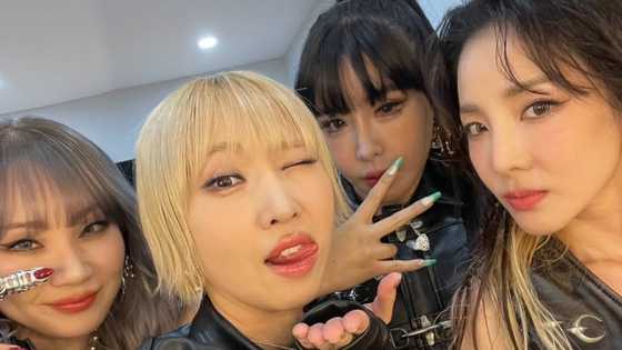 Sandara Park celebrates 2NE1’s 17th anniversary, shares post featuring fellow members