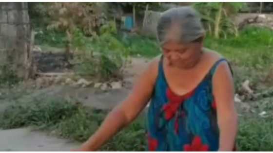 Mother's day balloon surprise sa isang ina, pareho ng sinapit sa kantang "Ako ay may lobo"