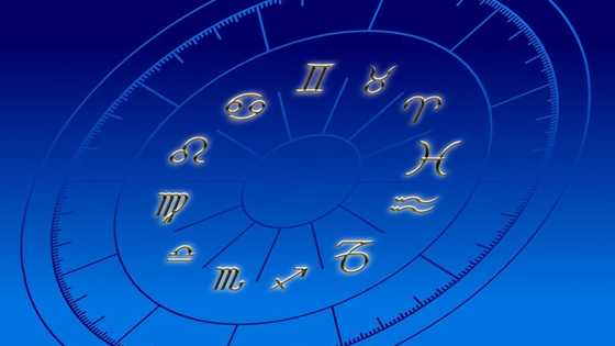 Zodiac signs: dates, characteristics, career, health