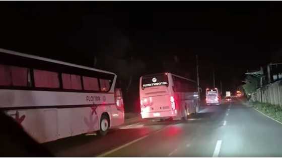 Viral 'racing' video ng Florida buses, nauwi sa suspensyon ng 15 bus
